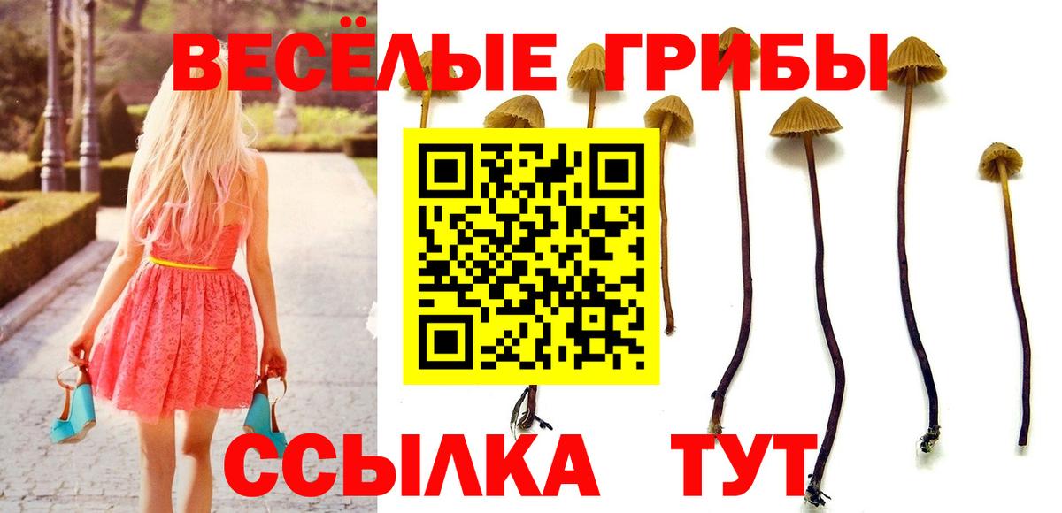 Галлюциногенные грибы мицелий Первоуральск